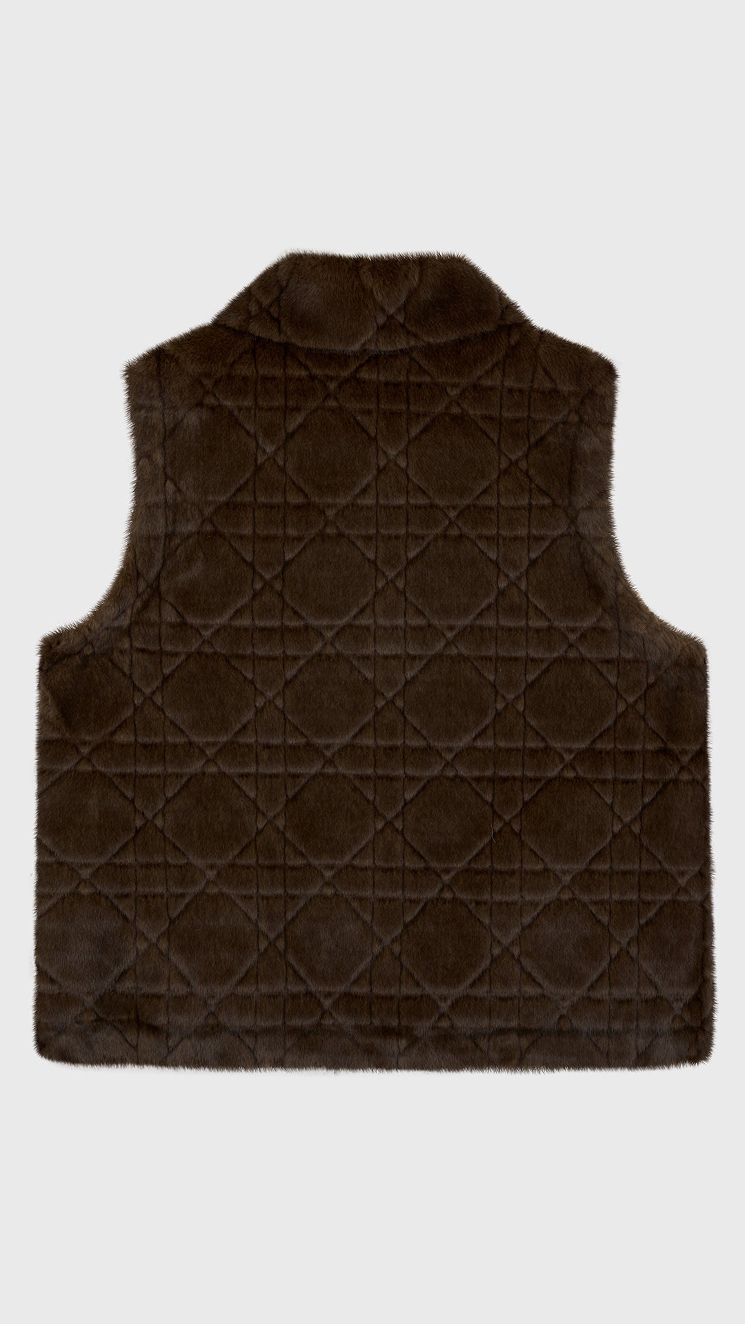 Gilet Senza Maniche in Peluche Sintetico, Colletto Rialzato con Zip, Modello Trapuntato, Giacca Gilet Invernale Casual per Donna